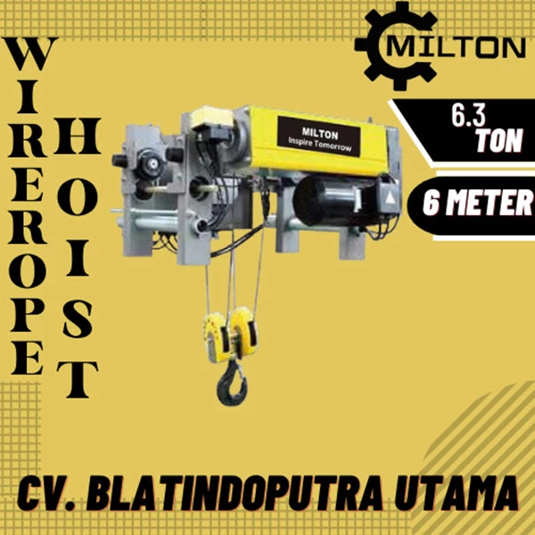 Wire Rope Electric Hoist 5 Ton